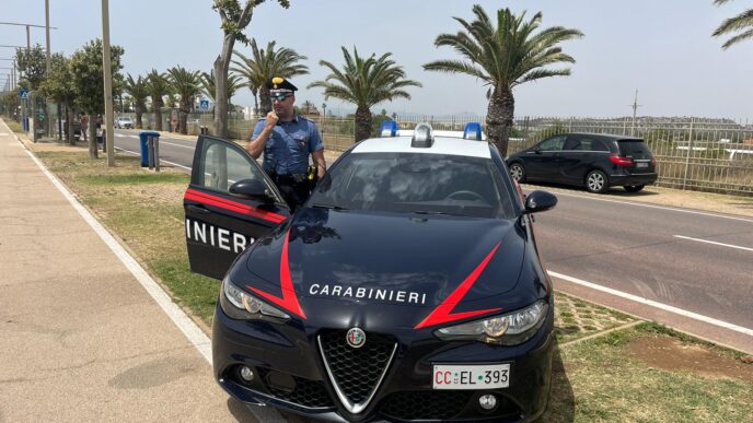 auto dei carabinieri parcheggiata, agente fuori dall'auto, strada alberata