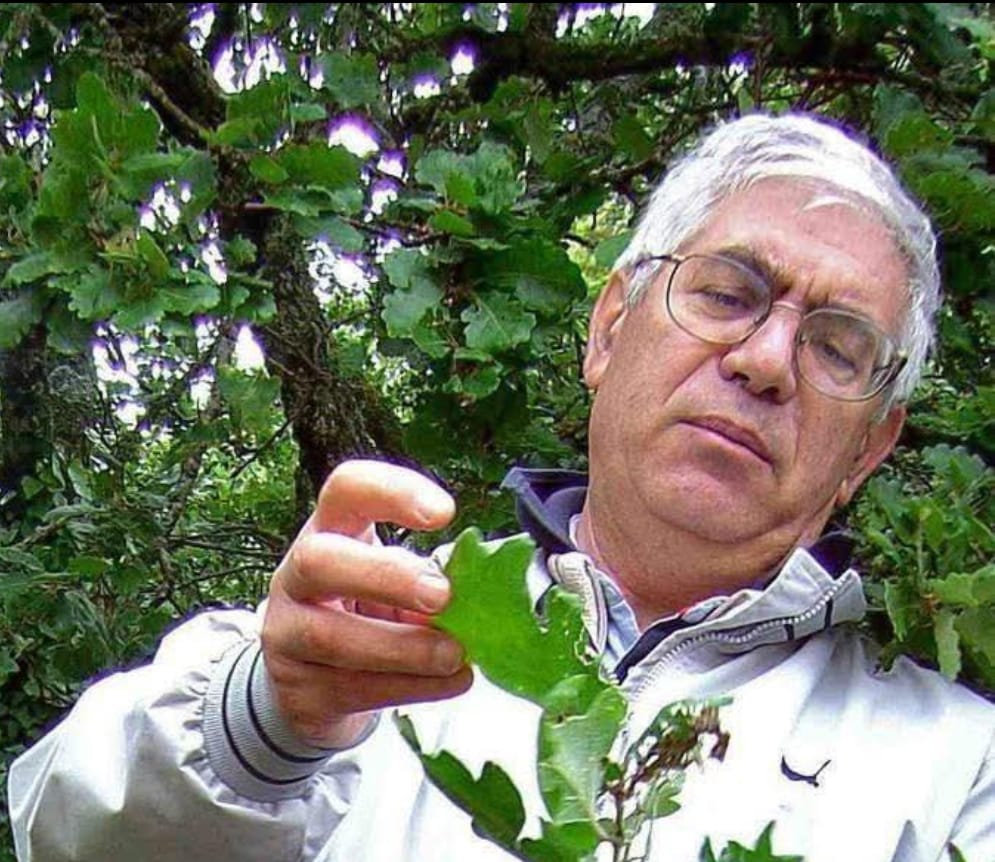 Ignazio Camarda