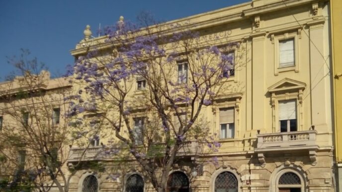 camera di commercio