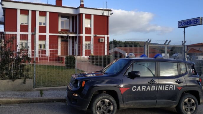 Ubriaco con 2 cani liberi a Gesturi