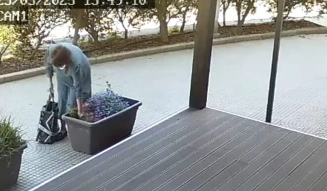 Nonnina ruba le piante a Quartu