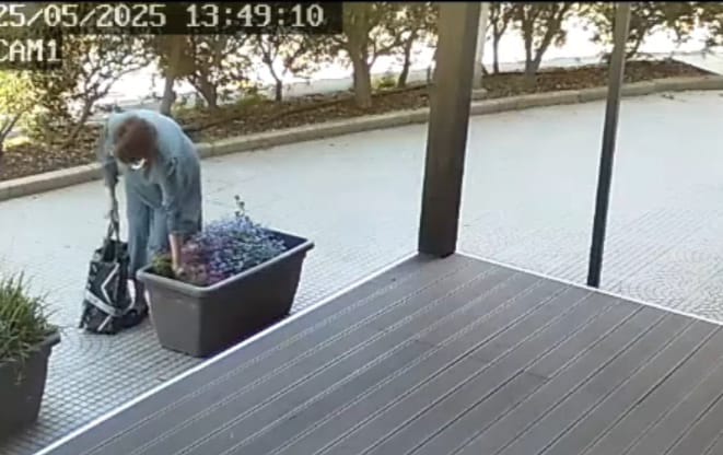 Nonnina ruba le piante a Quartu