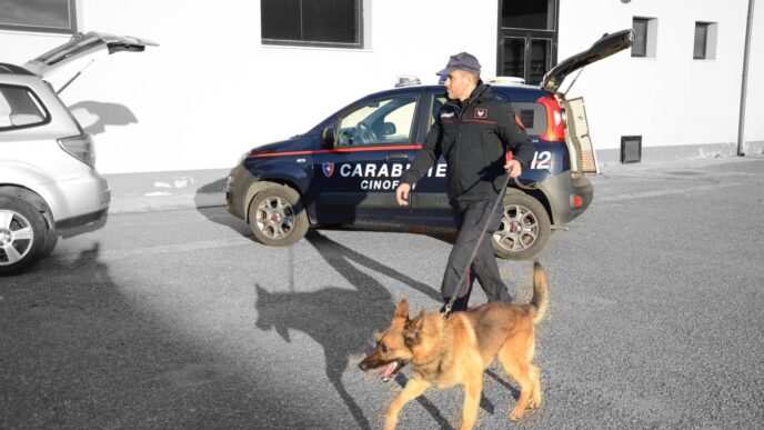 Arresto a Villaputzu