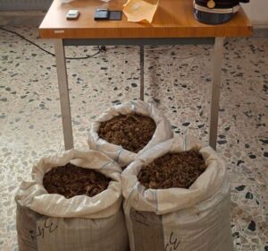 Droga trovata a Sanluri