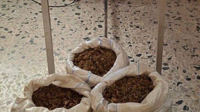 Droga trovata a Sanluri
