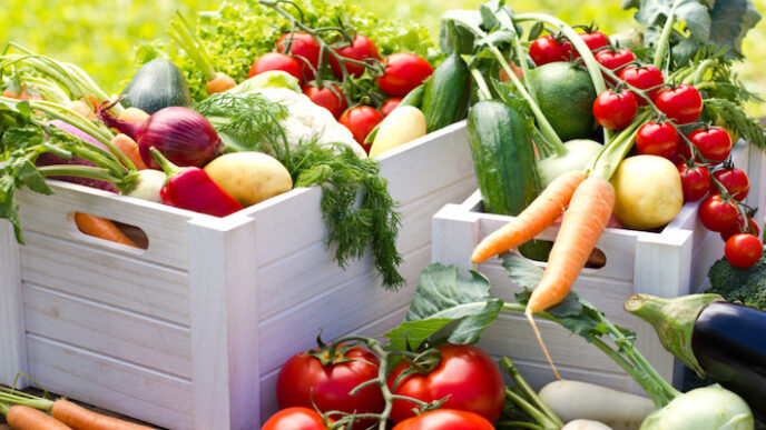 Frutta e verdura bio