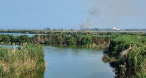 Incendio nell'oasi di Molentargius