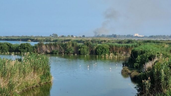 Incendio nell'oasi di Molentargius