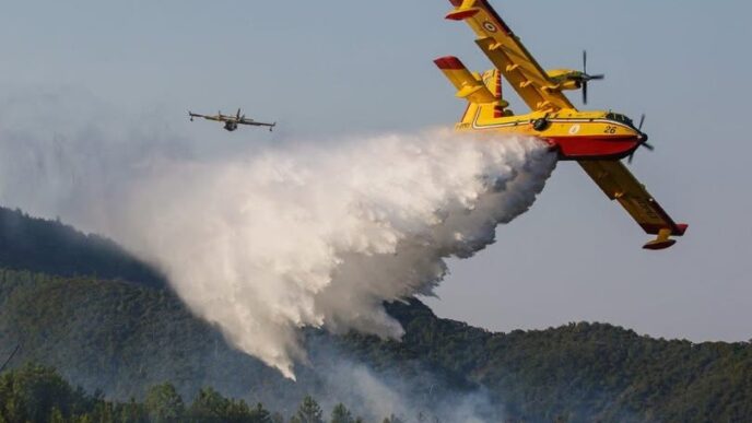 Incendio a Segariu