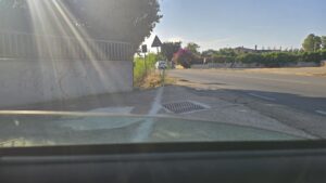Canne Flumini