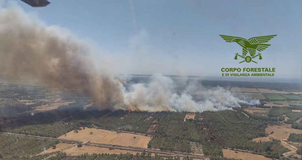 Incendio ad Arborea