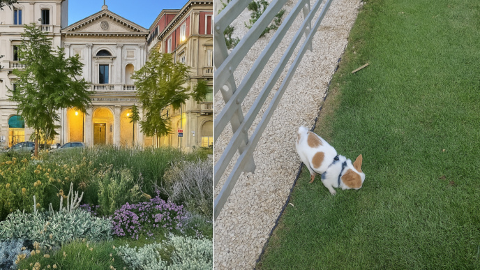 Area cani in via Roma