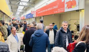 Mercato provvisiorio piazza nazzari