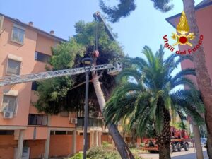 Albero crolla su una palazzina