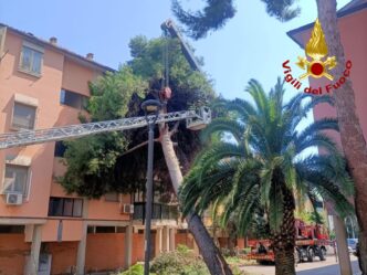 Albero crolla su una palazzina