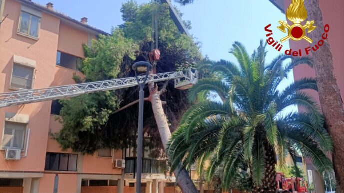 Albero crolla su una palazzina
