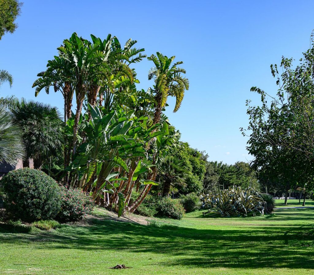 Area verde