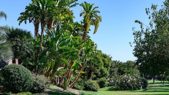Area verde