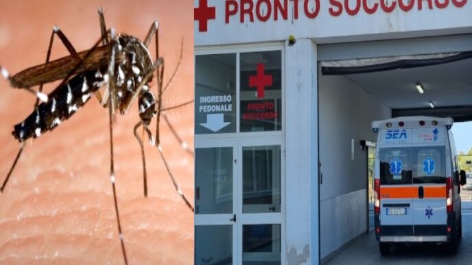 Caso di febbre del Nilo a Oristano