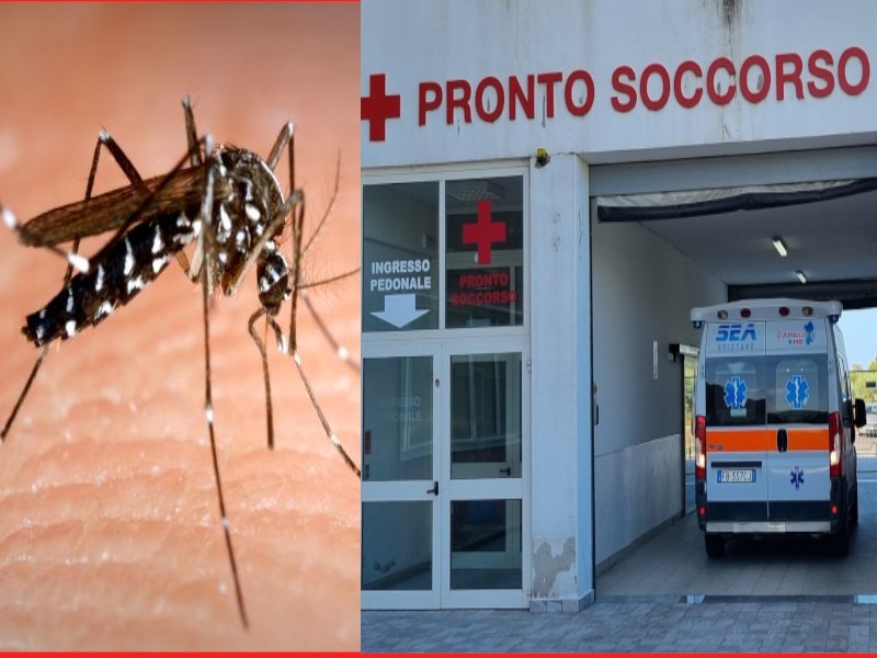 Caso di febbre del Nilo a Oristano